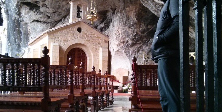 Hungry goats in Covadonga